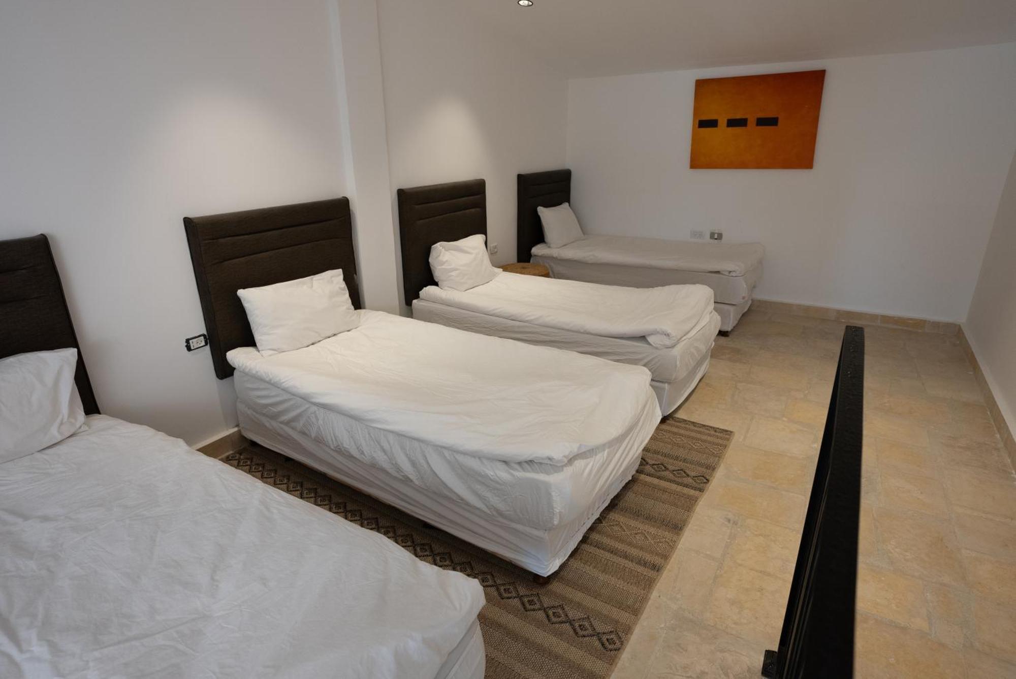 Adama Boutique Hotel ミツペ・ラモン エクステリア 写真